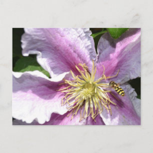 Exotiskt blomma med bin vykort