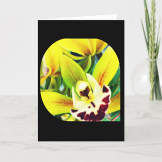 Exotiskt cymbidium Orchid Blank Greeting Card Kort