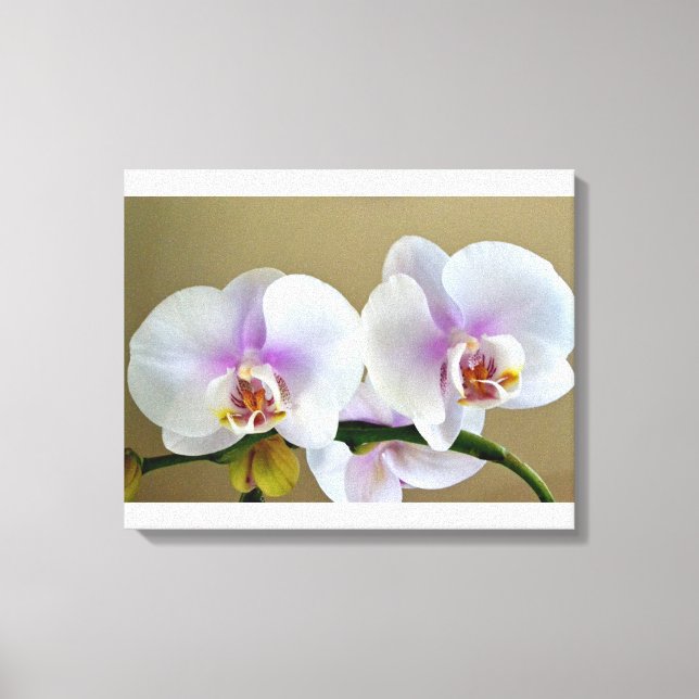 Exotiskt orchid-foto på Canvas Art (Framsida)