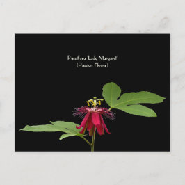 Exotiskt rött passionsblomma inkasserbart vykort