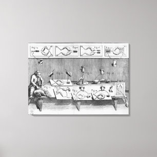 Experiment på grodor canvastryck