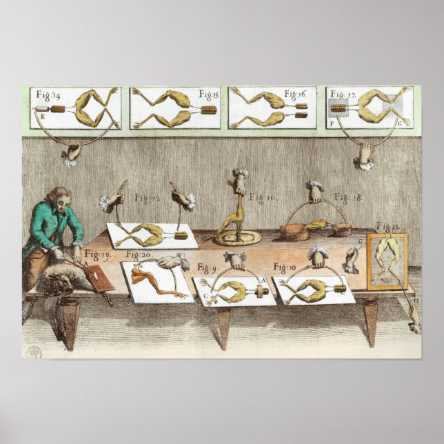 Experiment på grodor poster (Framsidan)