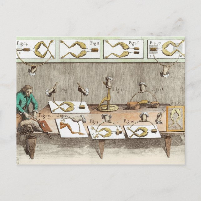 Experiment på grodor vykort (Framsida)