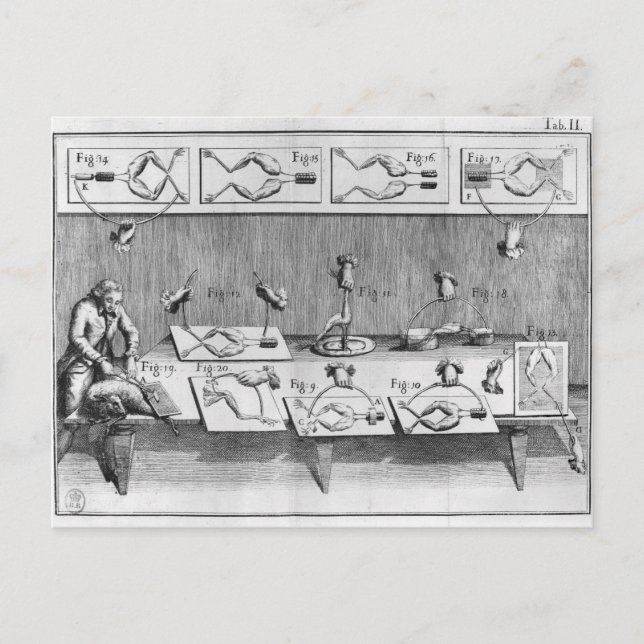 Experiment på grodor vykort (Framsida)