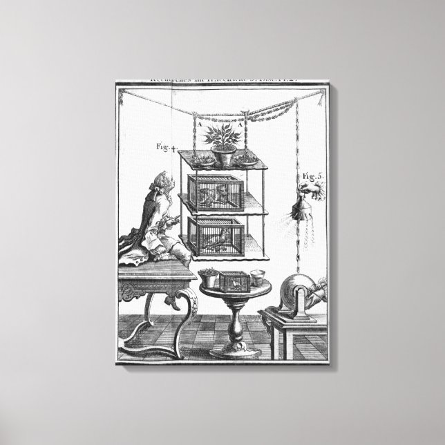 Experimentera med el canvastryck (Framsida)