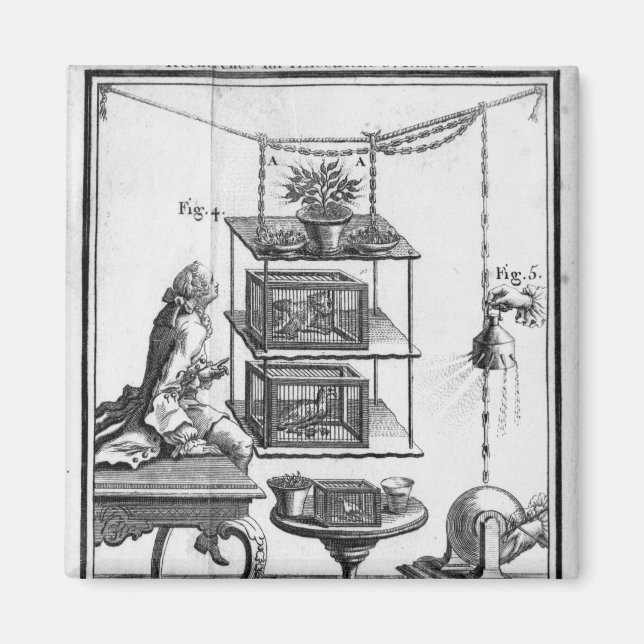 Experimentera med el magnet (Framsidan)