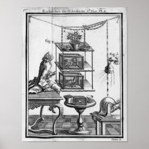 Experimentera med elektricitet poster