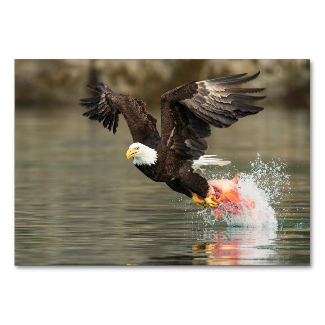 Explosivt Örn Bordsnummer (Framsidan)