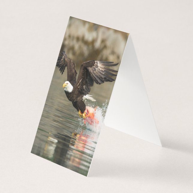 Explosivt Örn Kort (Baksida)