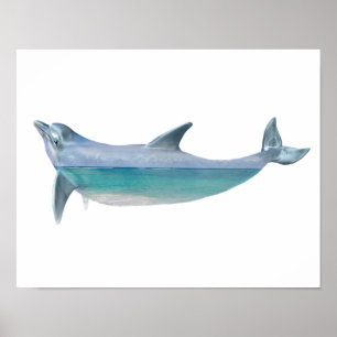Exponering för Dubbla av delfiner i Oceanen Poster