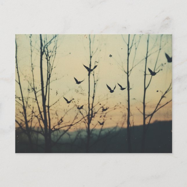 Exponering för Dubbla av fåglar Vykort (Framsida)