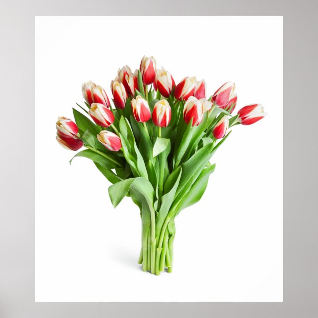 Exquisite Flowers Poster - Tulips (Framsidan)