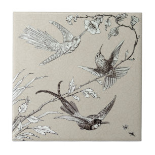 Exquisite Hummingbird Insekt Victorian Repro Kakelplatta