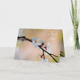 Exquisite Japansk Apricot Flowers Tack Kort