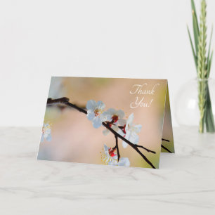 Exquisite Japansk Apricot Flowers Tack Kort