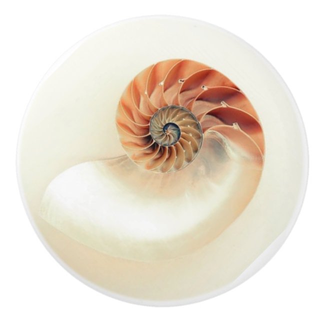 Exquisite nautilus snäcka keramisk knopp (Framsidan)