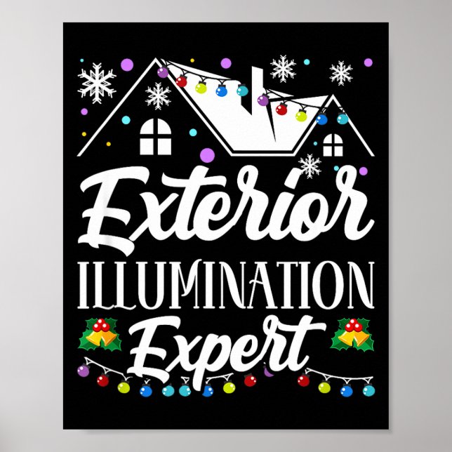 Exterior Illumination Expert Funny Christmas Decor Poster (Framsidan)