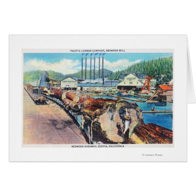 Exterior View of Pacific Lumber Co, Redwood Hälsningskort (Framsidan Horizontal)