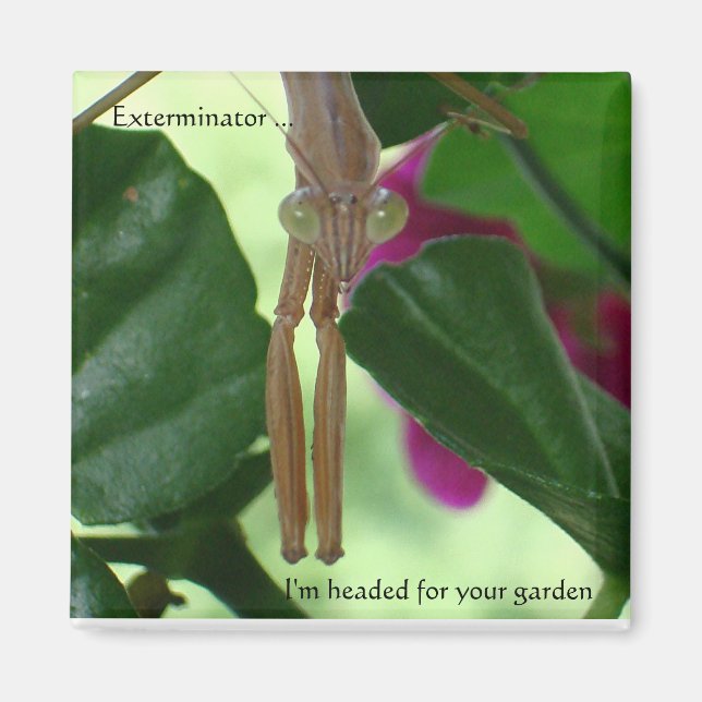 Exterminator Magnet (Framsidan)