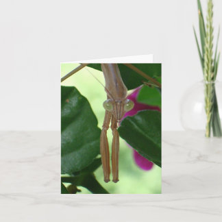 Exterminator Notecard Kort