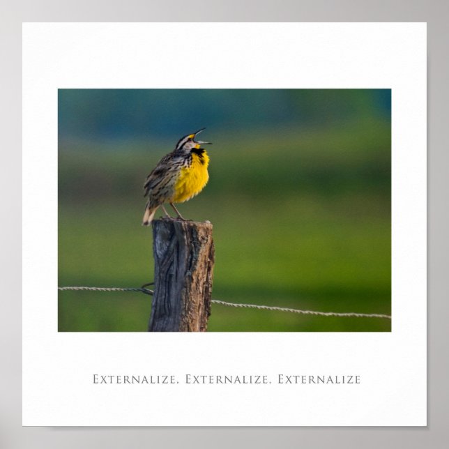 Externalisera, externalisera, externalisera poster (Framsidan)