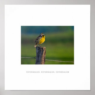 Externera, Externalisera, Externalisera Poster