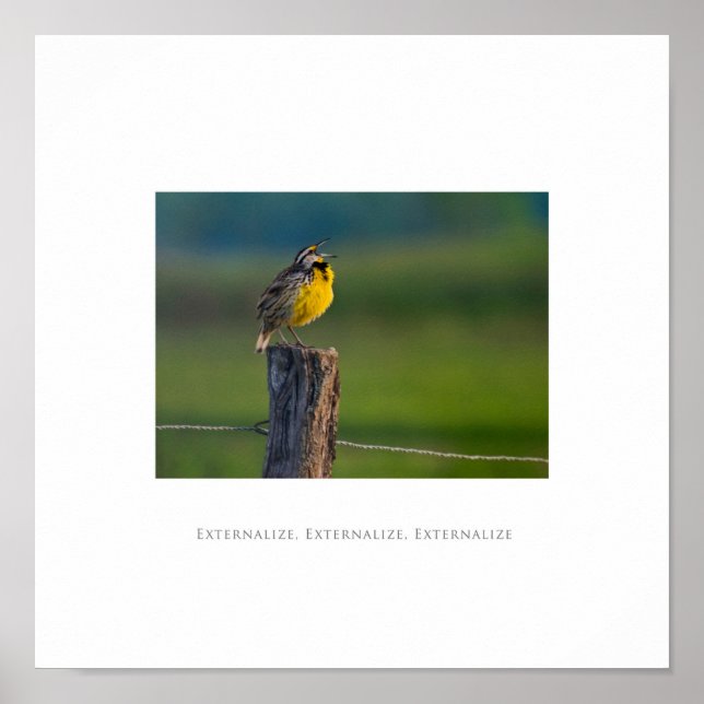 Externera, Externalisera, Externalisera Poster (Framsidan)