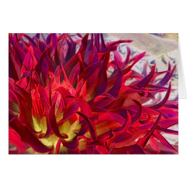 Exterra Dahlia Hälsningskort (Framsidan Horizontal)