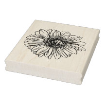 Extra Large Solros Blommar Blommigt Botaniska 