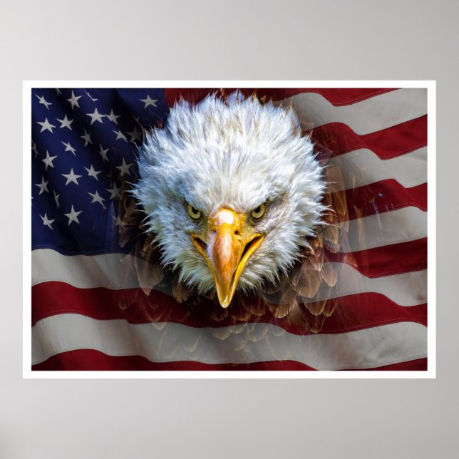 Extra Lg. Kraftfull USA Eagle-Flagga Poster (Framsidan)