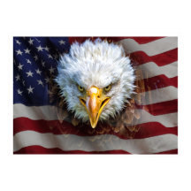 Extra Lg. Kraftfull USA Eagle-Flagga Poster
