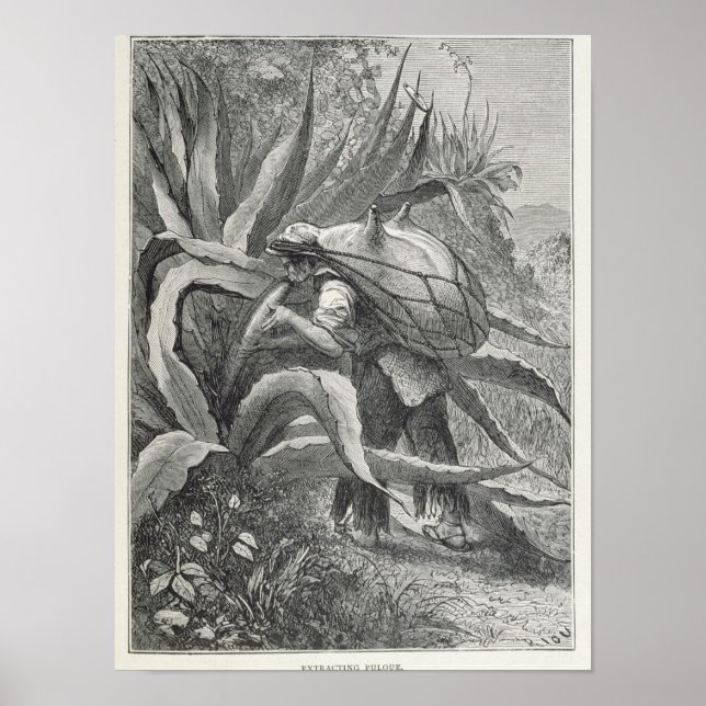 Extrahera pulk poster (Framsidan)