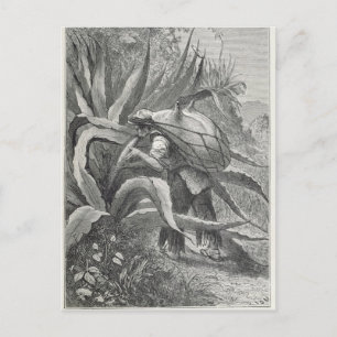 Extrahera pulk vykort