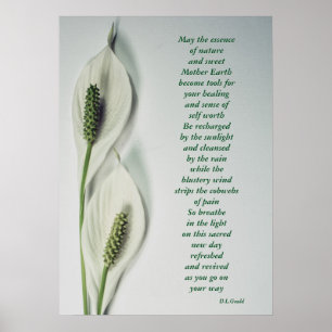 "Extrakt av Nature Poster