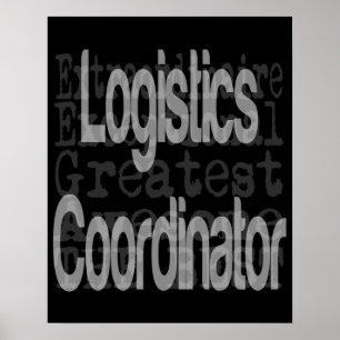 Extraordinär logistiksamordnare poster