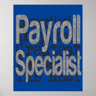 Extraordinär lönespecialist poster