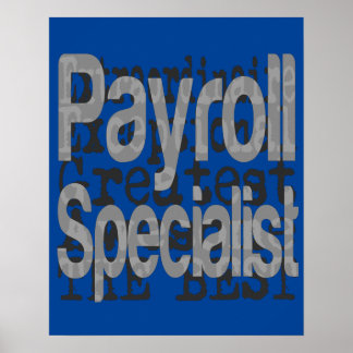 Extraordinär lönespecialist poster