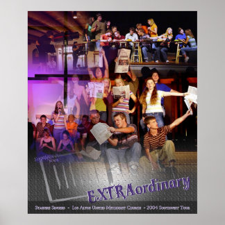 Extraordinär Poster
