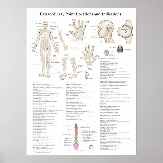 Extraordinära akupunkturpunkter Poster (Framsidan)