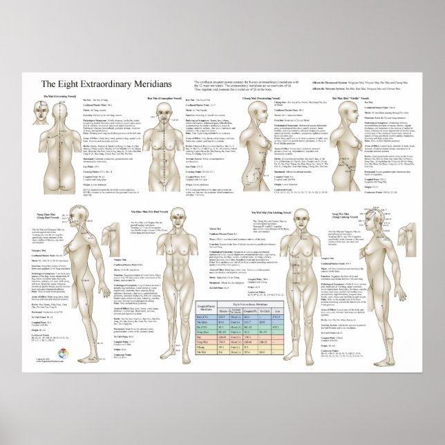Extraordinära meridianer i Extra Poster (Framsidan)