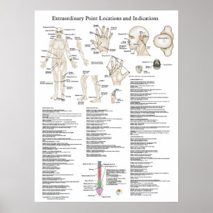 Extraordinära transaktionspunkter Poster