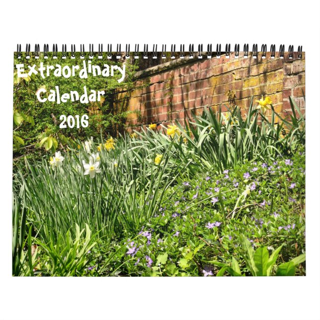 Extraordinary-2016 kalender (Omslag)