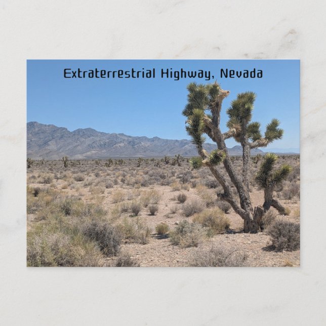 Extraterrestrial Highway, Nevada-öknen Vykort (Framsida)