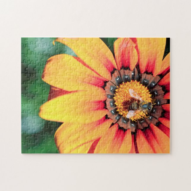 Extrem närhet av ett bin som samlar in pollen pussel (Horisontell)