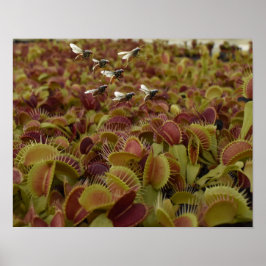 Extrem sport för flugor. poster