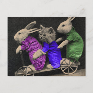 Extrema sportar vykort