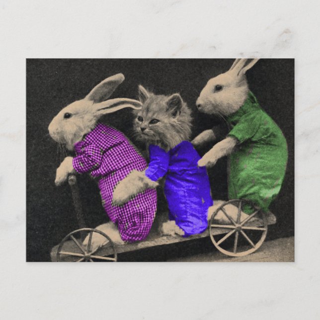 Extrema sportar vykort (Framsida)