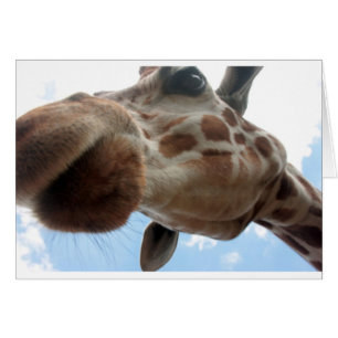 Extreme Giraffe Hälsningskort