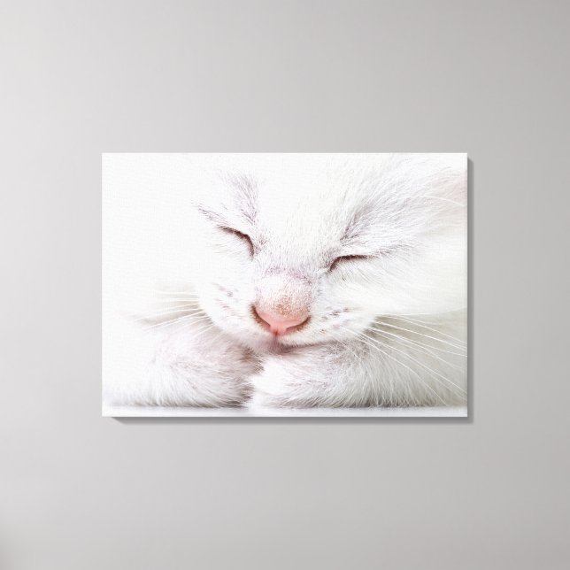 Extremt nära en mycket ung vit canvastryck (Framsida)