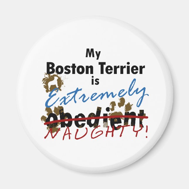 Extremt Naughty Boston Terrier Magnet (Framsidan)